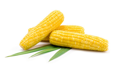 Corn