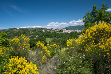 Frühling in der Provence