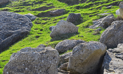 Rocky stones on the grass in daylight of the day