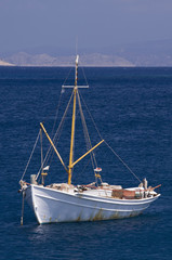 White Boat.