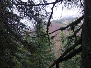 После дождя © iuliiia