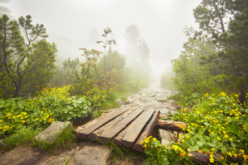 Path in the mountains