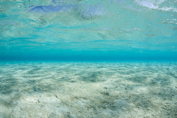 Clear Tropical Water and Sand
