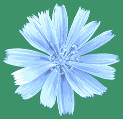 vector light blue flower on green background, isolated illustration