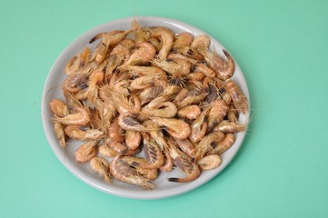 Common Shrimp