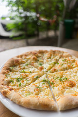 White Pizza , garlic and Mozzarella Cheese