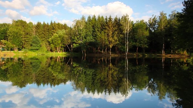 Symmetry reflection on a summer lake