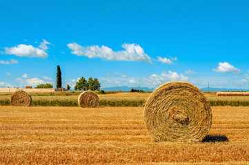 crop field in Spain with round straw bales after harvesting