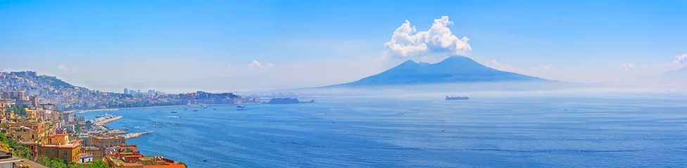 Tuinposter Panorama van de Vesuvius en Napels © alexvav