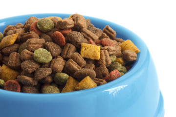 Dry cat food in blue bowl, detail on white.