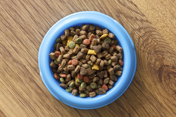 Dry cat food in blue bowl isolated on wood floor from above.