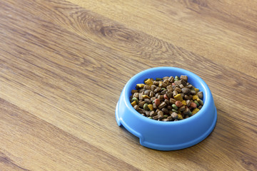 Dry cat food in blue bowl isolated on wood laminate floor.