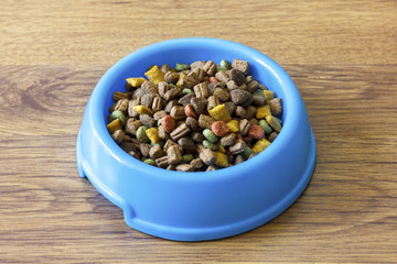 Dry cat food in blue bowl isolated on wood laminate floor.