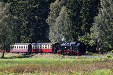 Harzer Schmalspurbahn Selketalbahn