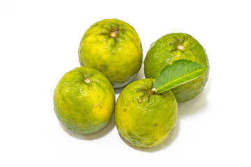 Citrus sinensis orange on basket