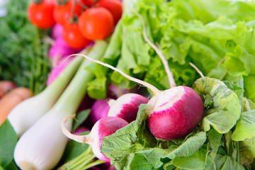 Different ripe vegetables