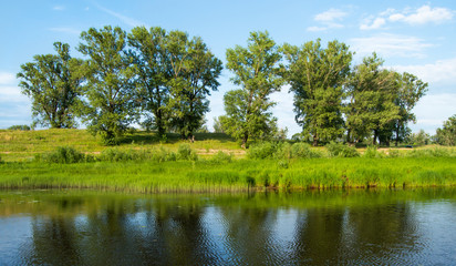 Fototapeta na wymiar берег реки с деревьями