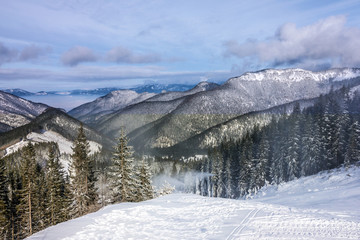 Fototapeta na wymiar winter mountain forest snow landscape