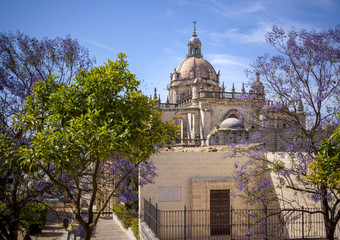 Fototapeta na wymiar Kathedrale von Jerez