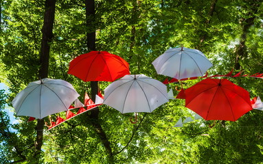 Umbrellas red and white on a background of trees