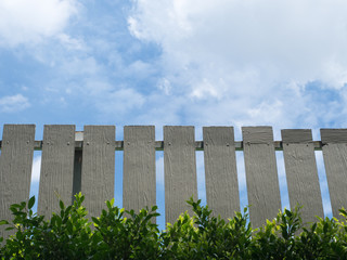 Brown fence with green leaves and blue sky background.