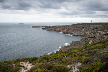 Fototapeta na wymiar Kangaroo Island