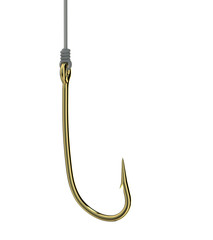 golden fishing hook on fishing line