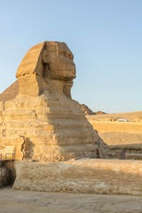 Sphinx