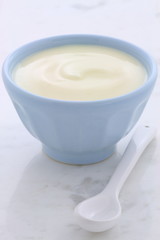 Fresh plain yogurt