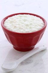 Fresh and healthy cottage cheese