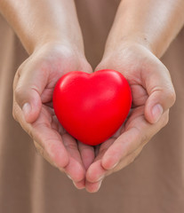 Heart in hands for give