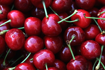 Süßkirschen