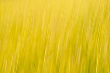 Abstract background or texture