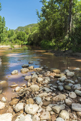 Fototapeta na wymiar River with rocks