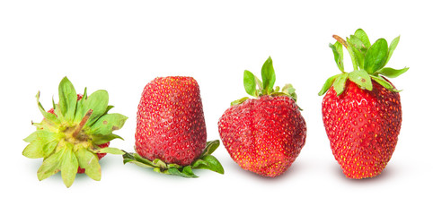 Several strawberries in a row