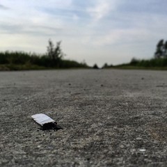 Naklejka premium Rauch frei!