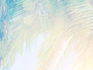 Obraz premium Beautiful tropical background
