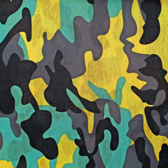 exotic color camouflage as background