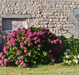 Marsais (Charente maritime)