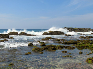 Stormy ocean bay, Sri-Lanka