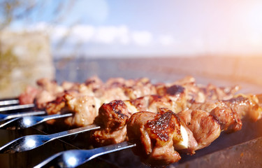 Grilling a delicious shashlik