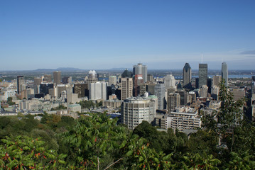 Edifices de ville de Montr&eacute;al