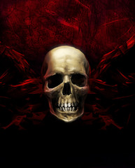 Human horror skull on crimson grunge textured background illustration.