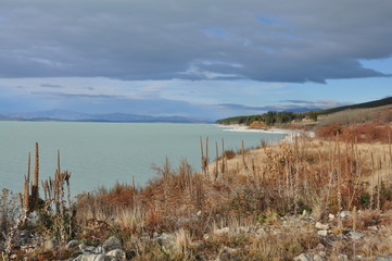 Blueskin Bay New Zealand