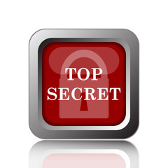 Top secret icon