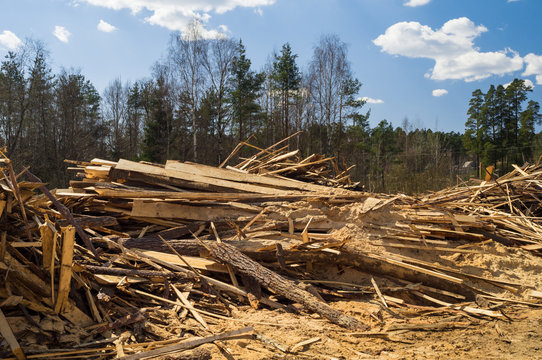 Pine sawmill offcuts