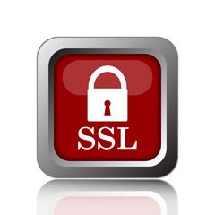 SSL icon