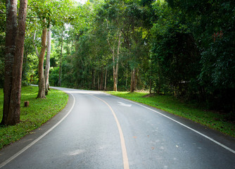Obraz premium The road with green trees and mountain at Thailand
