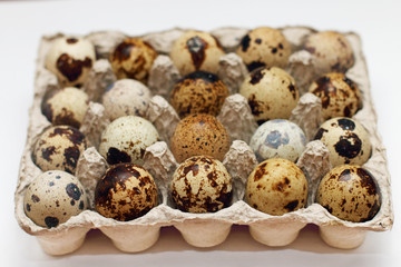 Closeup open package with twenty fresh quail eggs