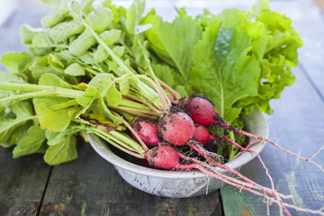 garden radish in an aluminum plate